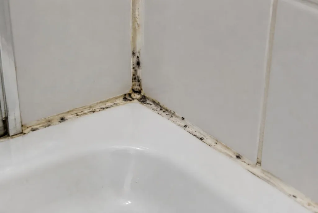 Kitbedrijf Hoorn – beschimmelde kitranden
